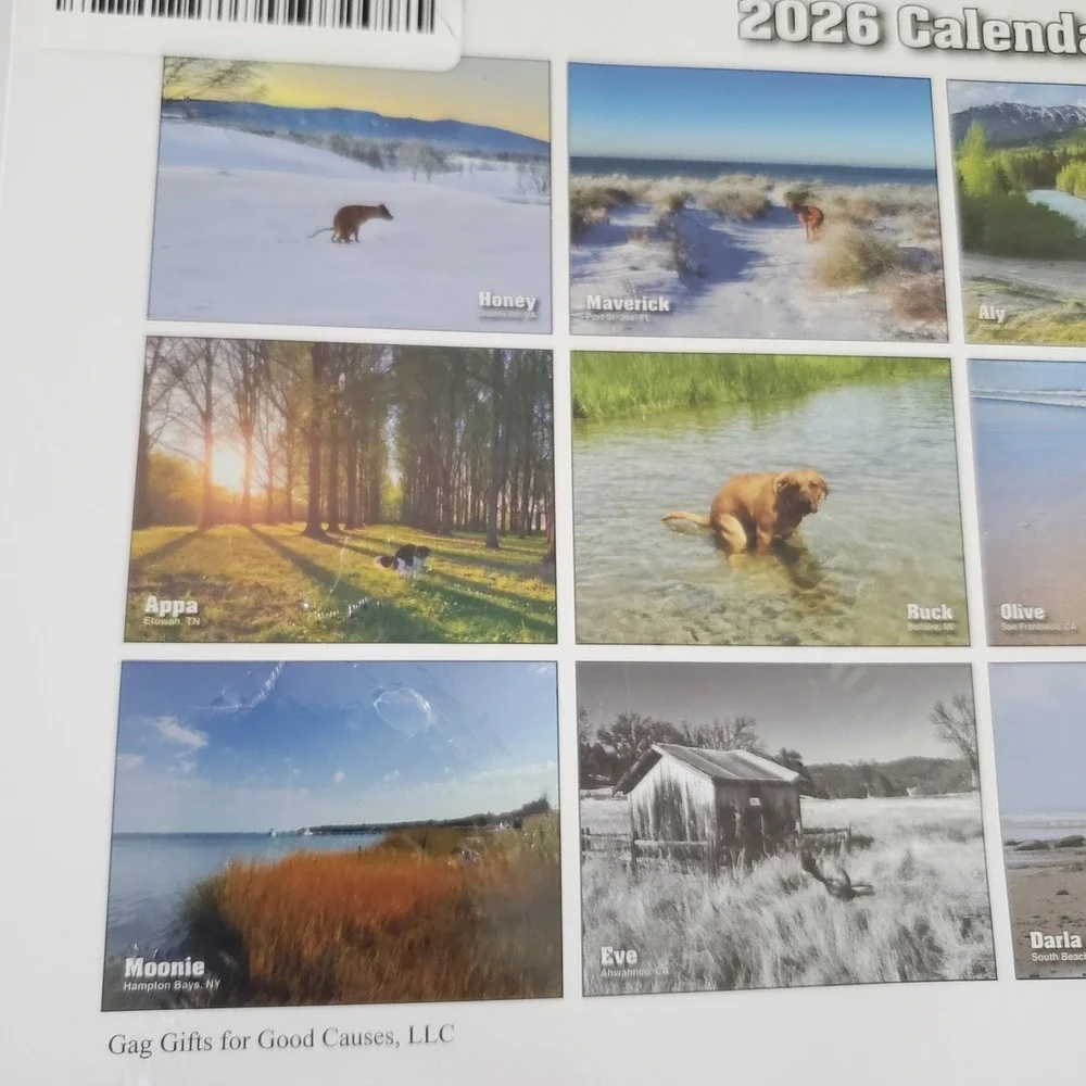 Pooping Pooches 2026 Wall Calendar Funny Dog Gag Gift White Elephant Humor